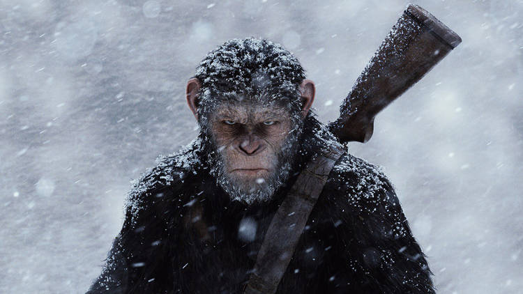 War for the Planet of the Apes