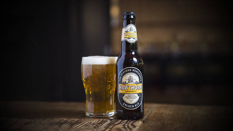 Hawthorn Brewing Co Golden Lager