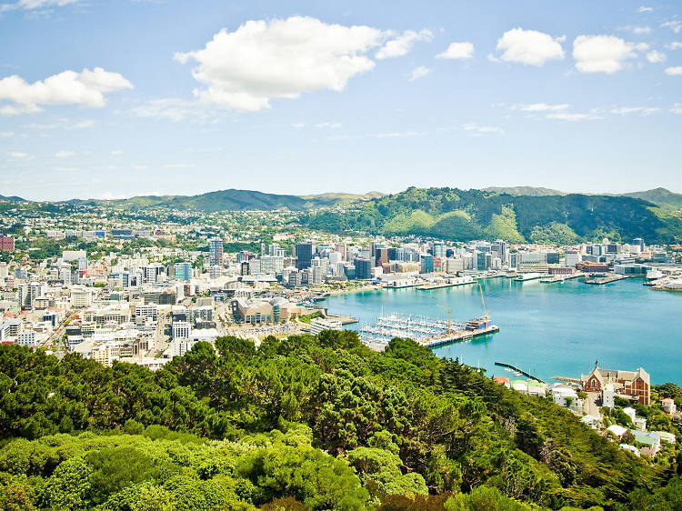 Wellington tourism NOBA