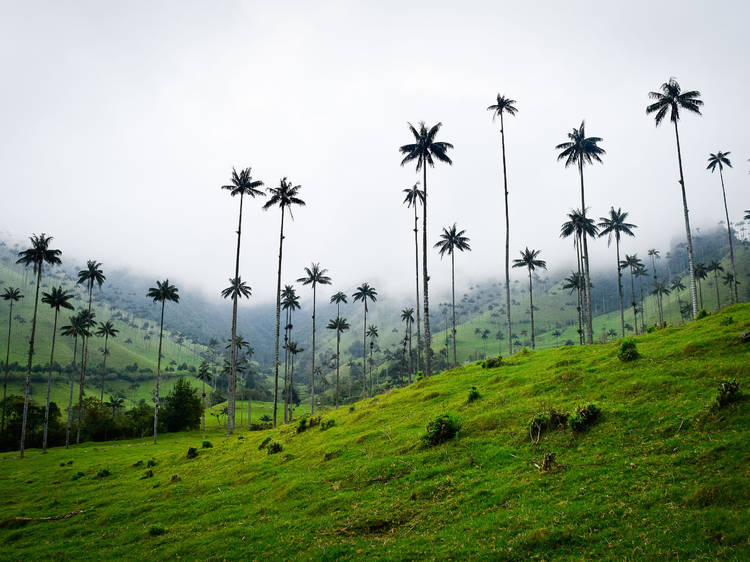 Colombia