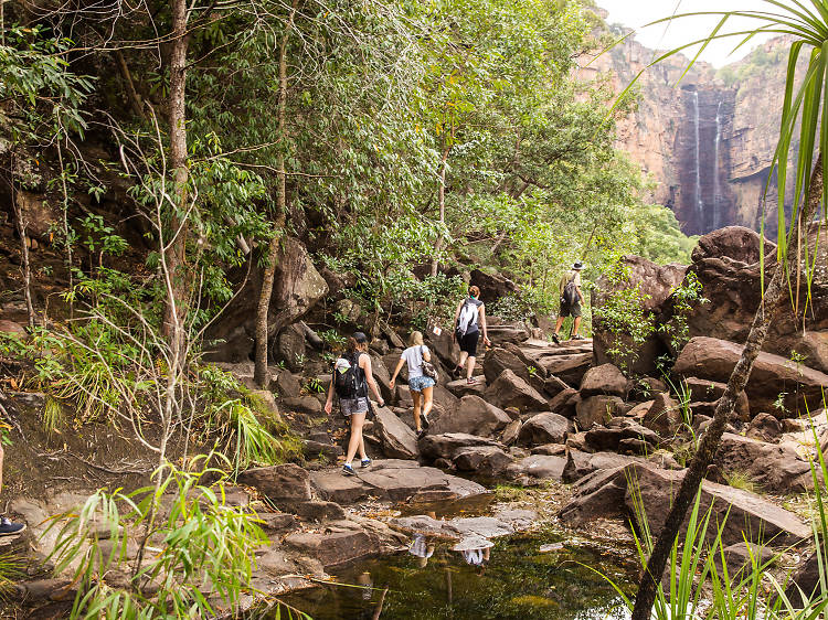 4 Day Kakadu/Katherine/Litchfield Adventure