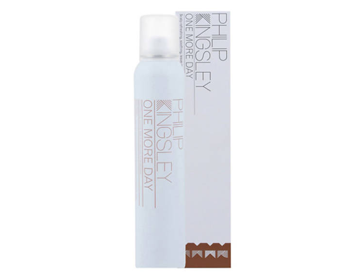 Philip Kingsley One More Day Dry Shampoo