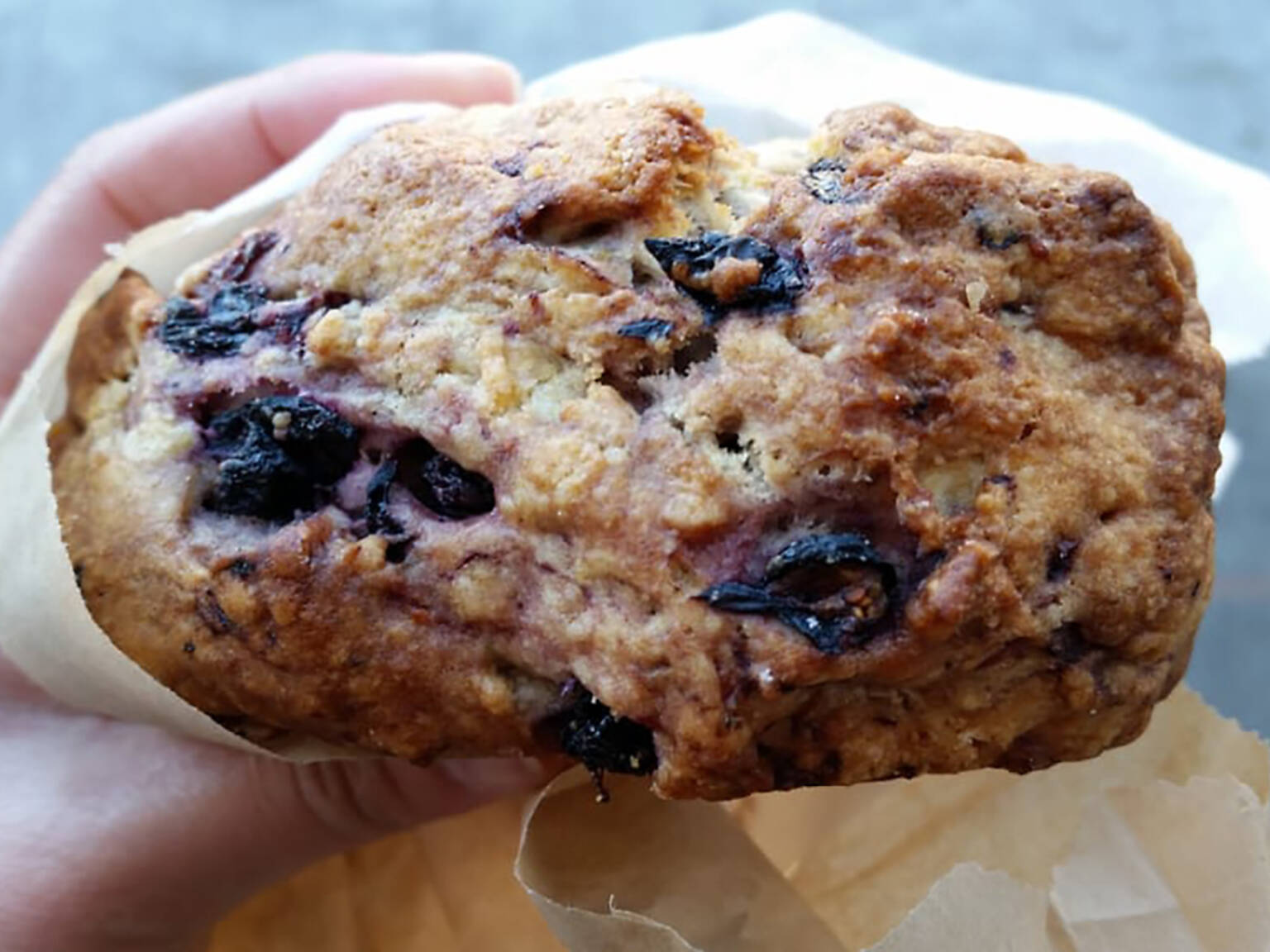 The best cookies in San Francisco from chocolate chip to oatmeal