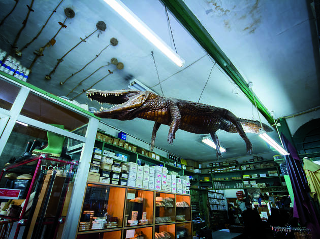 Casa Crocodilo Compras Baixa Porto