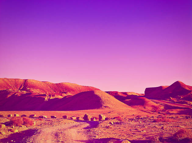 Negev Negev