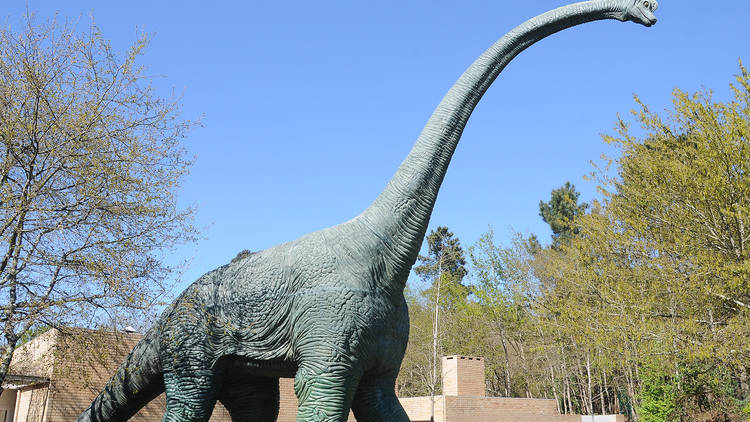 Faça amigos entre os animais no Parque Biológico de Gaia