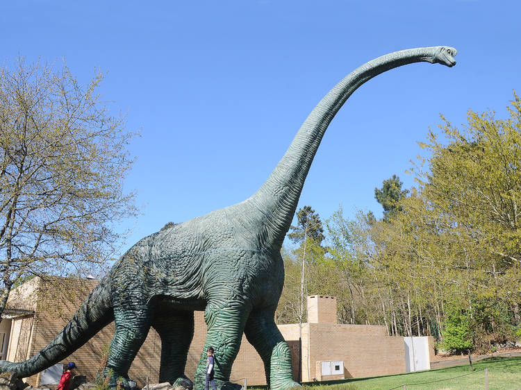 Faça amigos entre os animais no Parque Biológico de Gaia