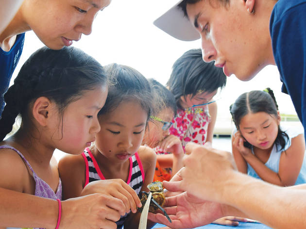 Hudson River Park Public Education Programs (Summer) Hudson River Park Public Education Programs (Summer)