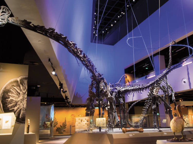 Enter the Lost World at the Lee Kong Chian Natural History Museum