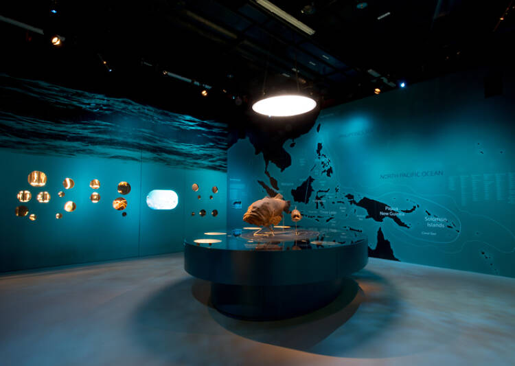 Lee Kong Chian Natural History Museum