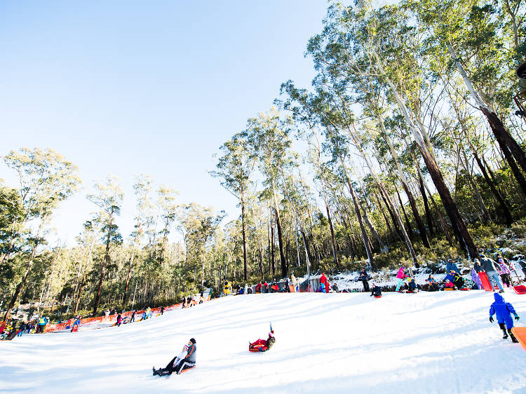 Corin Forest Mountain Resort, ACT