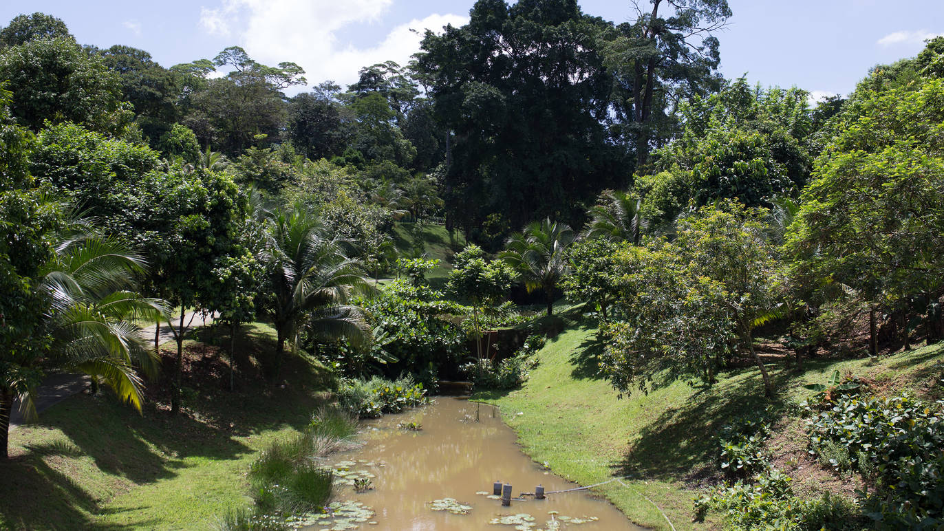 taman dusun bandar