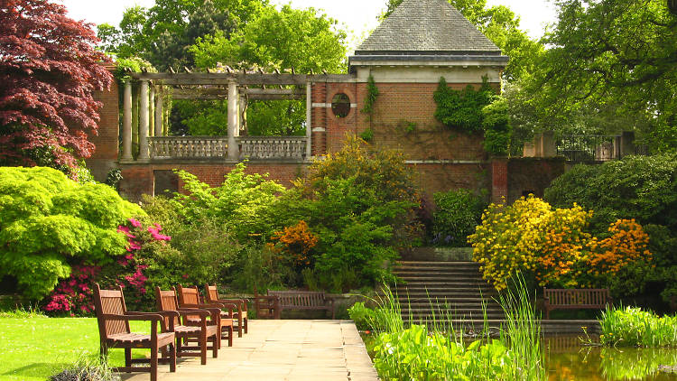 Georgian Pergola Garden, Hampstead