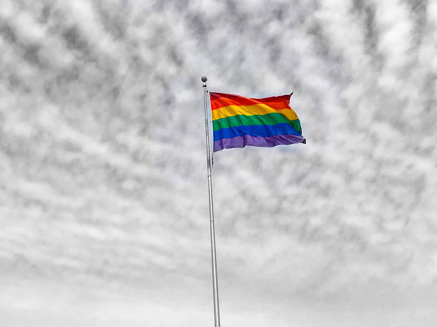 Banderas LGBTTTI La comunidad posee varias bandera LGBTTTI