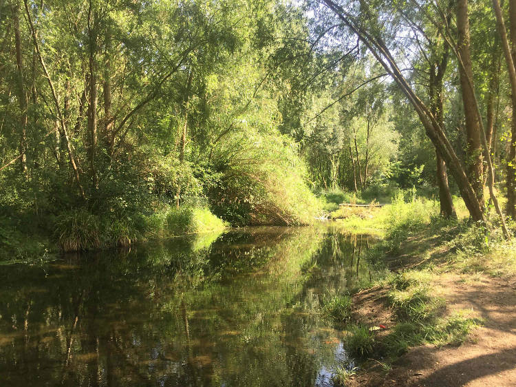 Platja fluvial del Ter