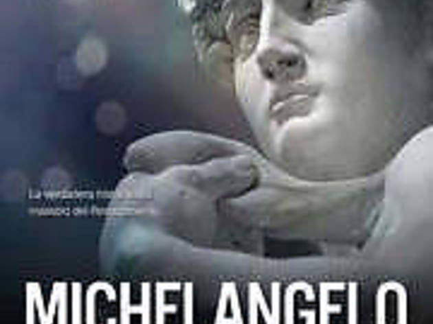 Michelangelo Michelangelo