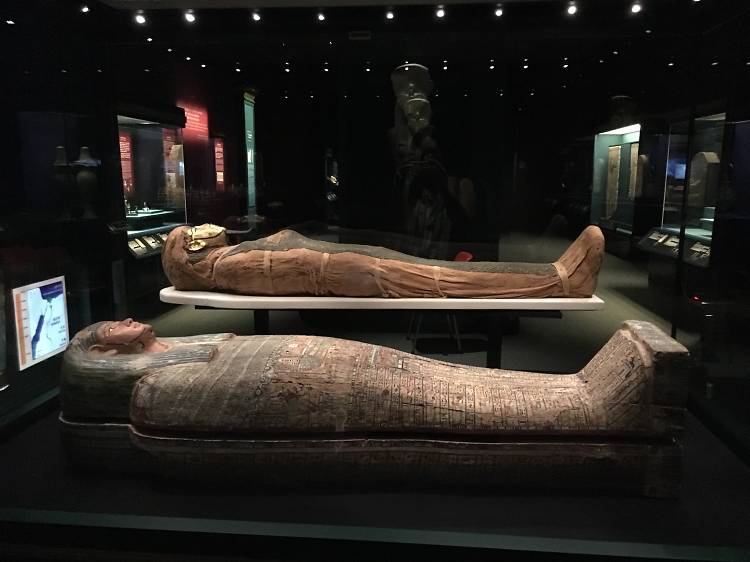 Eternal Life: Exploring Ancient Egypt