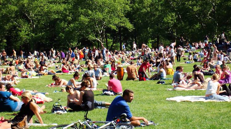 Sheep Meadow