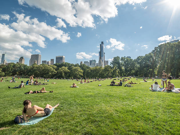 20 amazing things to do in NYC this week 20 amazing things to do in NYC this week
