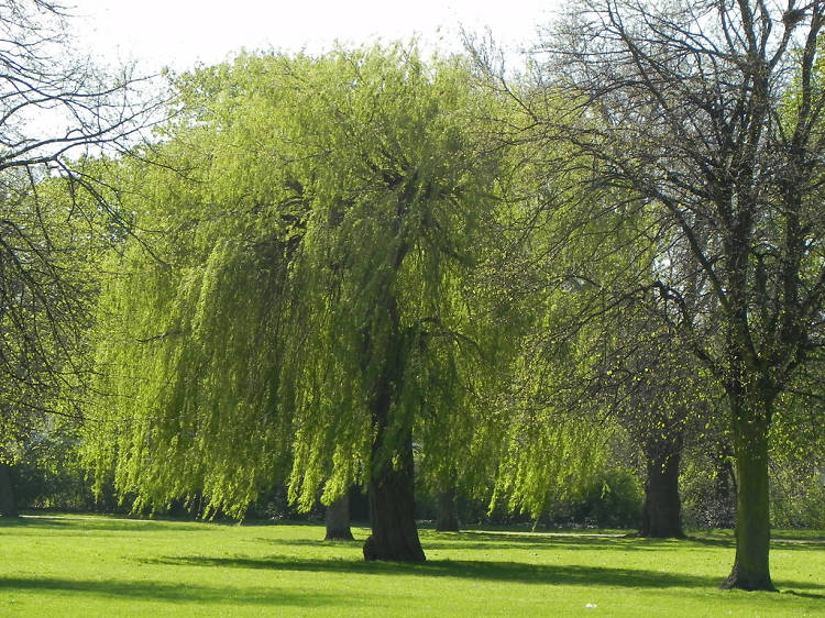 The Wandle Trail