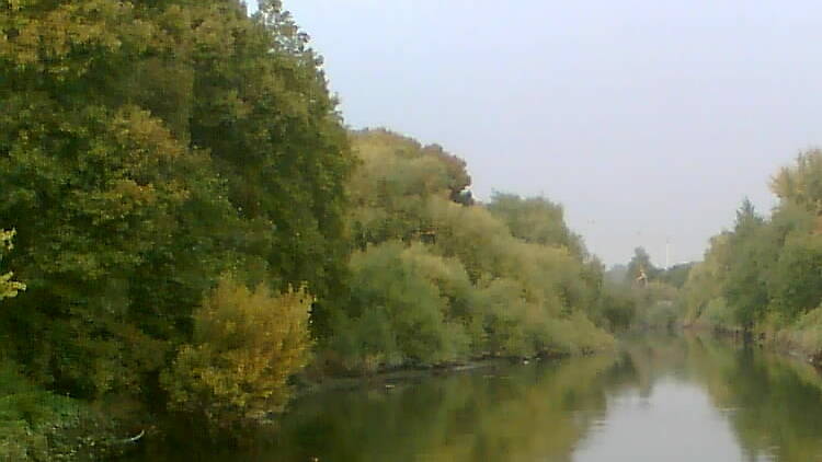 Hackney Marshes