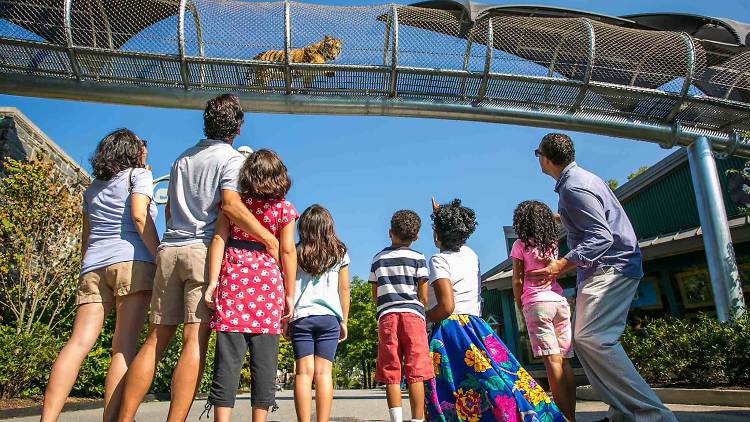 Family Amusement Parks Near Philadelphia - Philadelphia Family Magazine