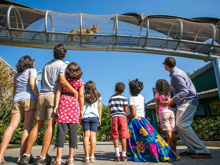 All the things to do with kids in Philly