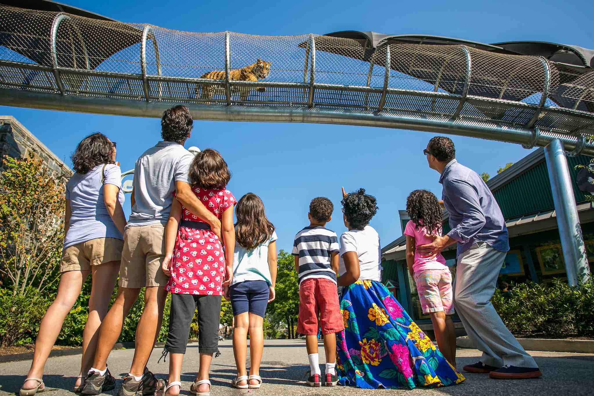 25 Best Things To Do In Philadelphia With Kids Now