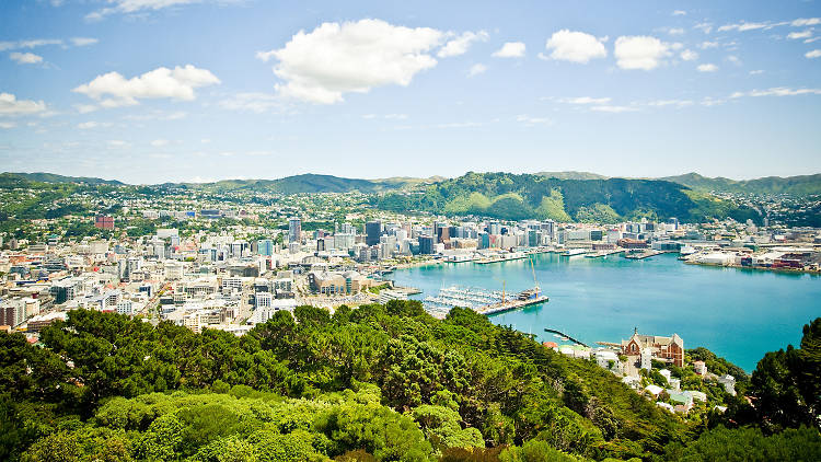 The view from Mount Victoria Lookout in Wellington, New Zealand