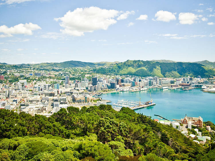 The view from Mount Victoria Lookout in Wellington, New Zealand