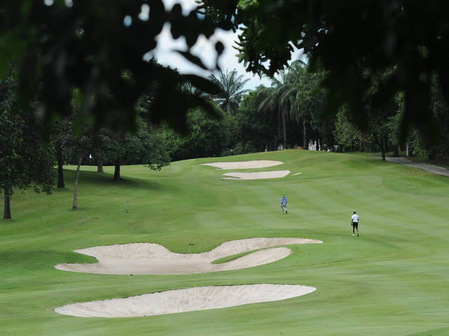 Hit the greens for some golf Hit the greens for some golf