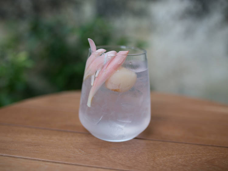 Best Place for Gin Cocktails: Pahit