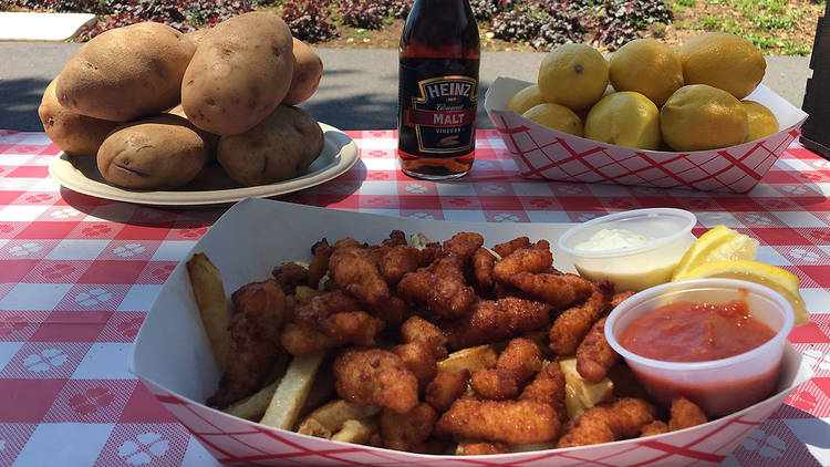 Half Shell Fish Fry and Clam Bar