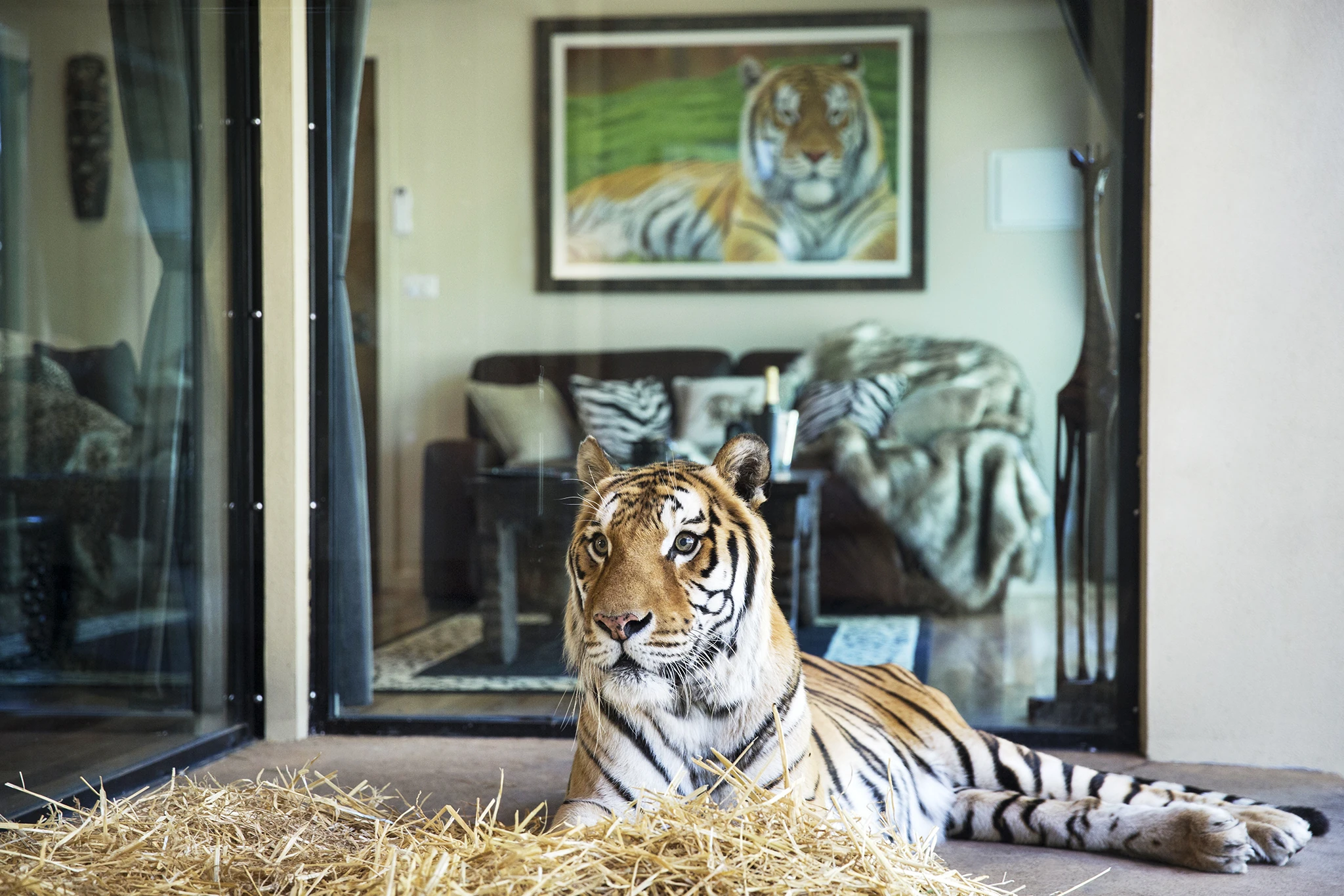 Jamala Wildlife Lodge Canberra