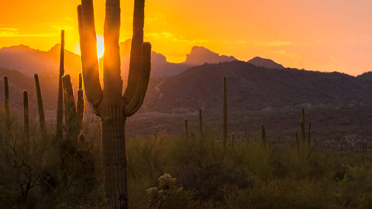 Tanque Verde Ranch, Tucson, AZ