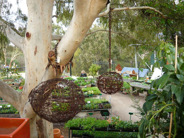CERES Permaculture and Bushfood Nursery