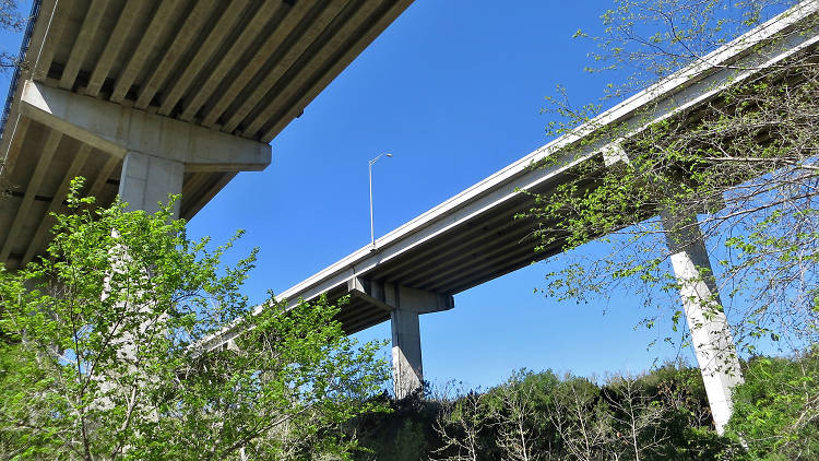 greenbelt bridge