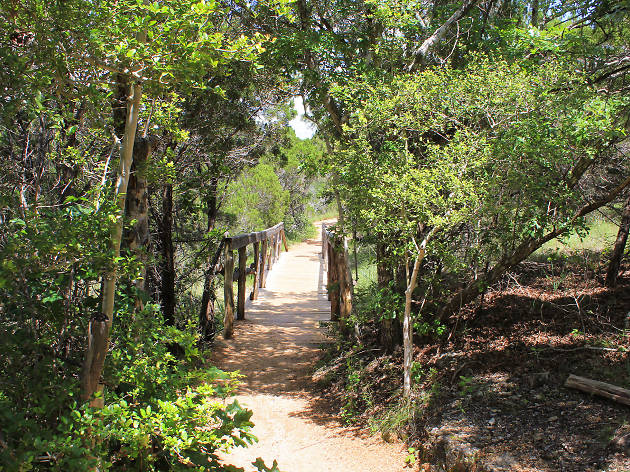 10 Best Austin Parks And Gardens For Beautiful Walks