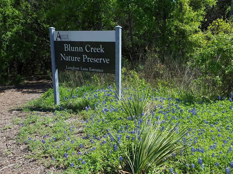 Blunn Creek Preserve