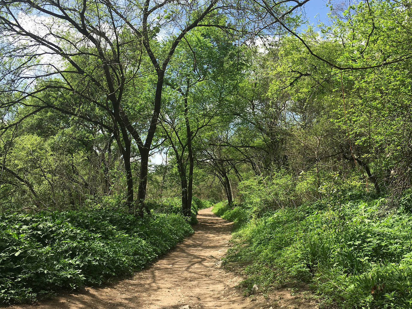 10 Best Hikes in Austin, Texas' Premier Outdoor City