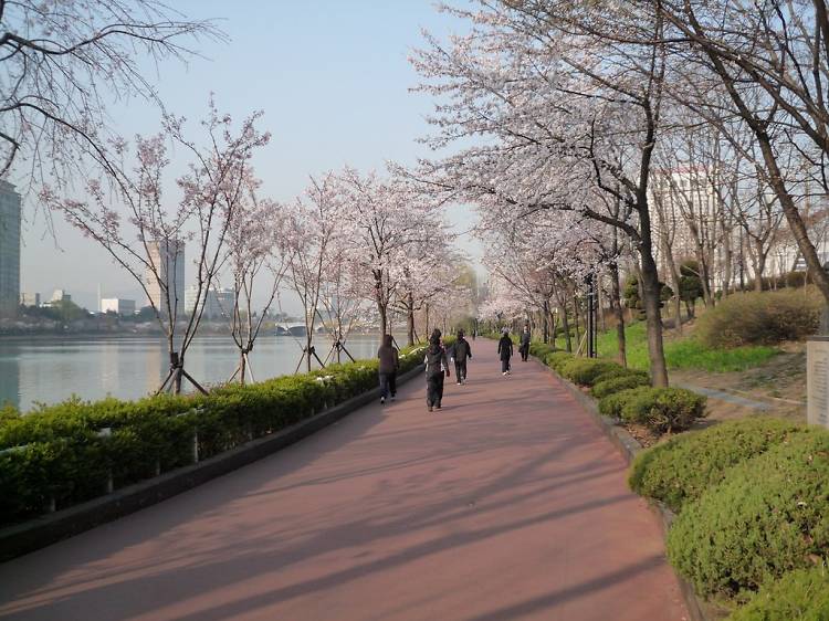 9am-10am ▶ Starting your day right at the Seokchon Lake