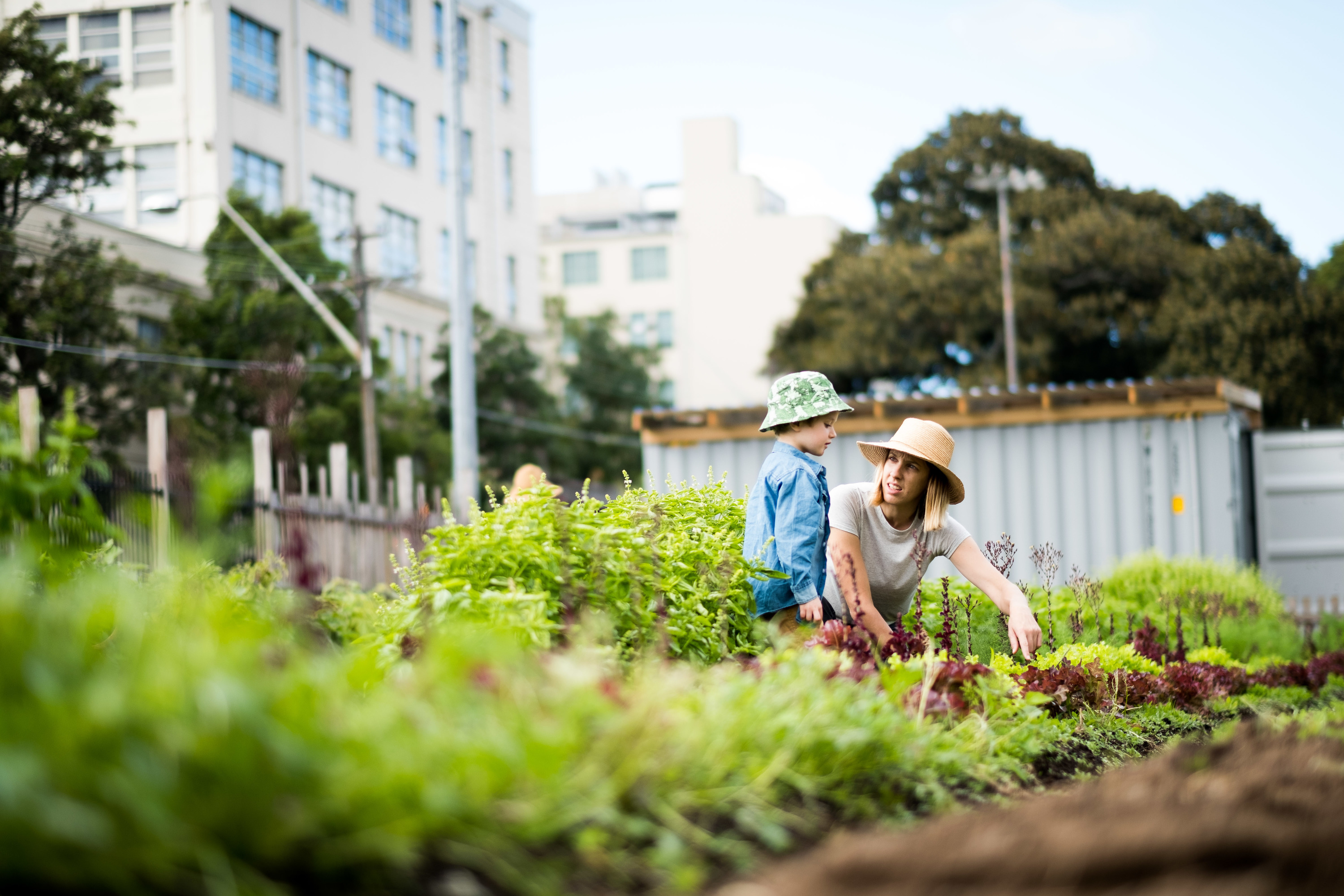 Camperdown Commons’ 1st Birthday Celebration Things to do in Sydney