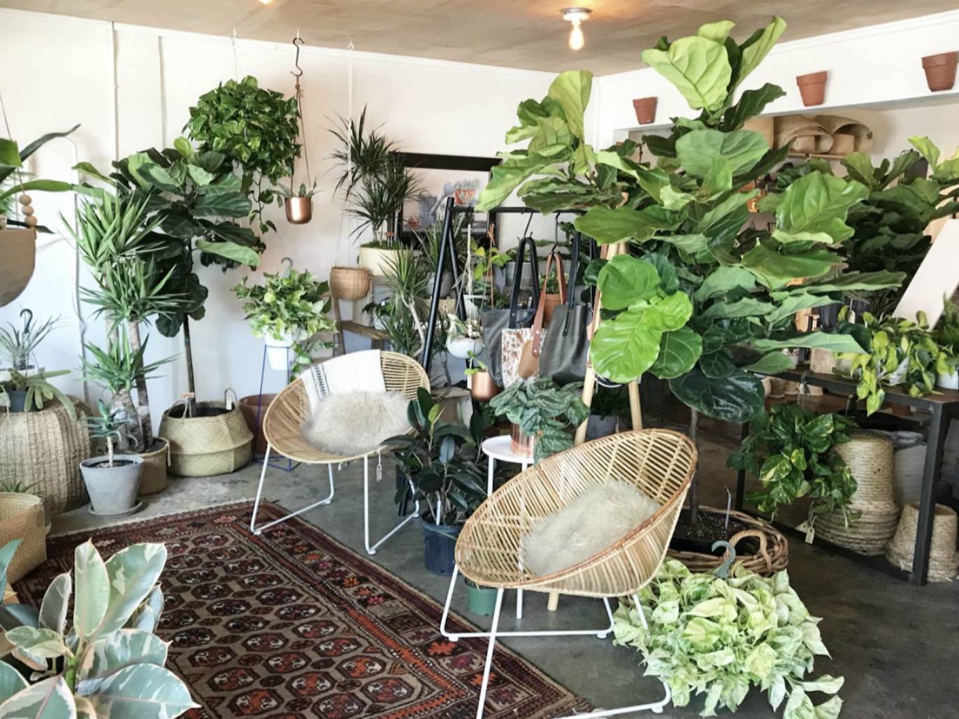 Guide to the best gift shops in Austin for any occasion