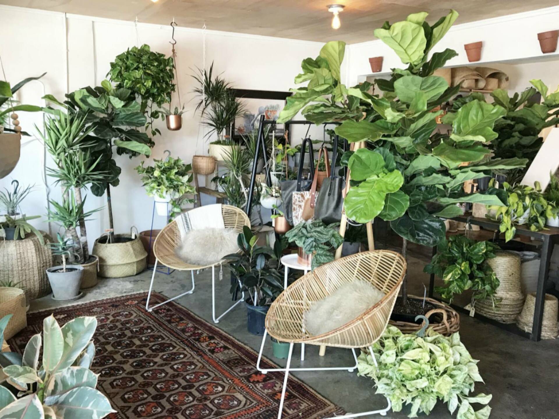 Guide to the best gift shops in Austin for any occasion