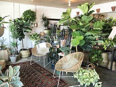 Guide to the best gift shops in Austin for any occasion