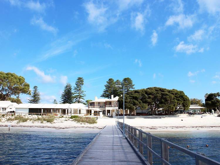 Stay another day and… Catch the ferry to Rottnest Island
