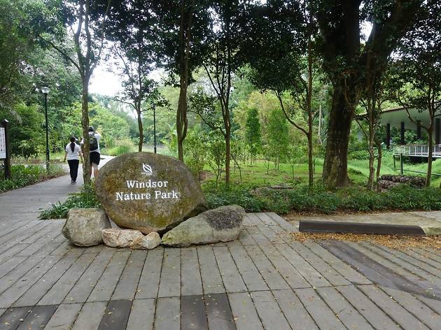 Windsor Nature Park | Attractions in Bishan, Singapore