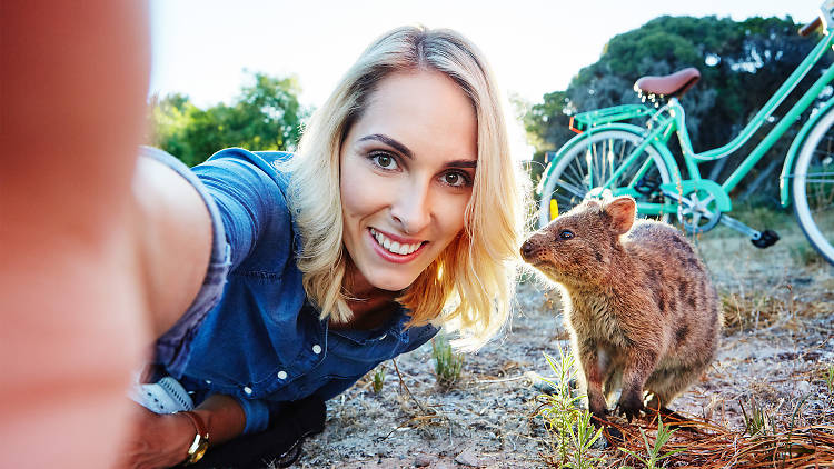 Play: Selfie with a quokka