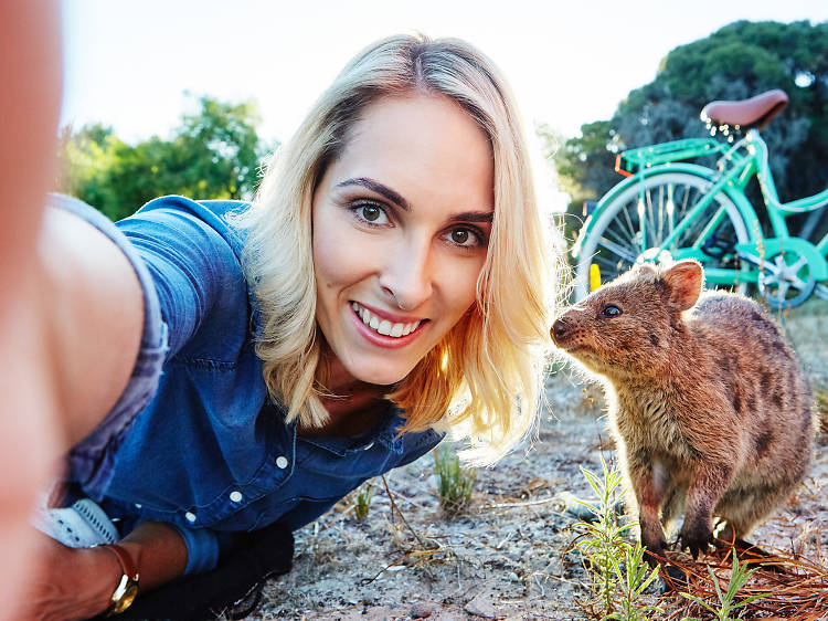 Play: Selfie with a quokka