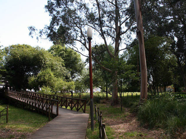 Parque do Carriçal Parque do Carriçal